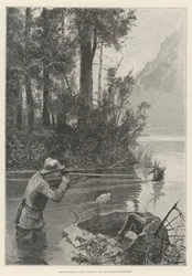 Deer-Hunting in the Forest of the Adirondack Mountains